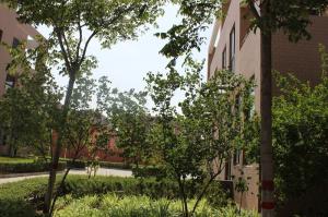 廠(chǎng)區(qū)環(huán)境